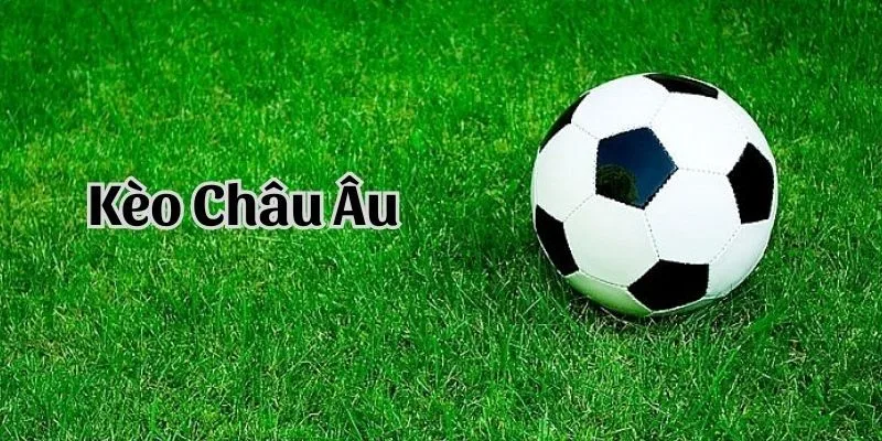 Hướng dẫn đọc cược châu Âu cho tân thủ