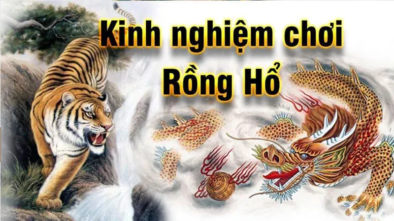 Hướng dẫn thành viên bí kíp soi cầu khi chơi rồng hổ
